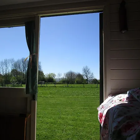 Bryn Parc Hotel Llandysul Exterior photo
