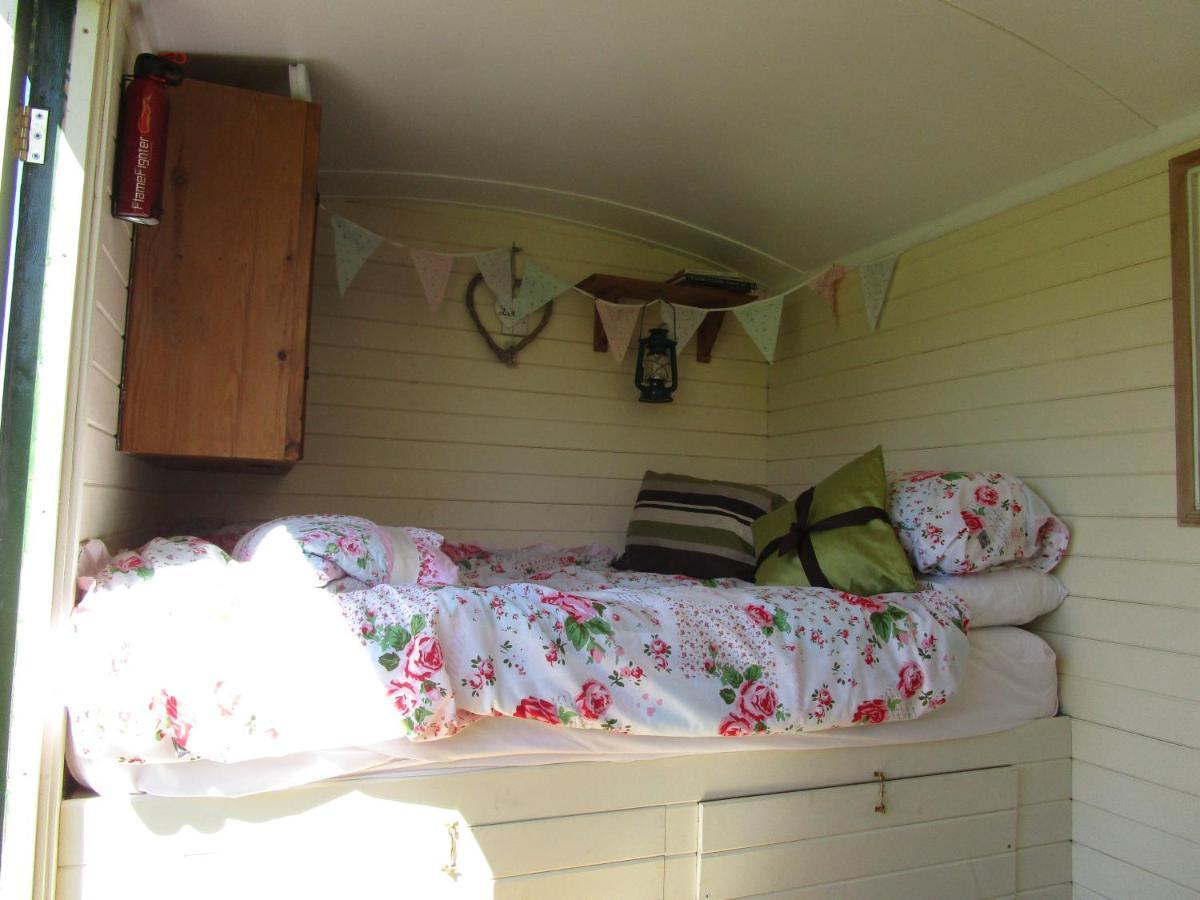 Bryn Parc Campsite Llandysul