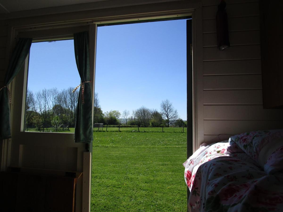 Bryn Parc Llandysul