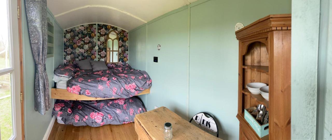 Bryn Parc Llandysul